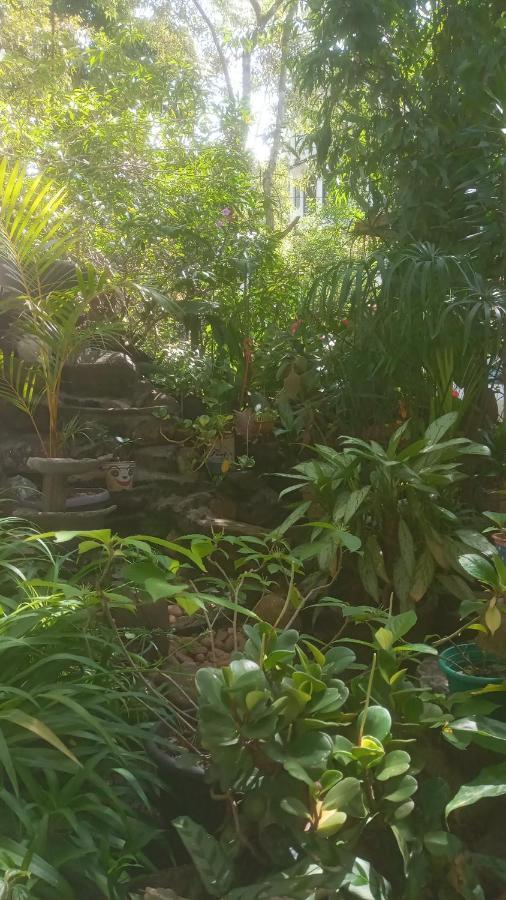 Homestay Ritz Ella
