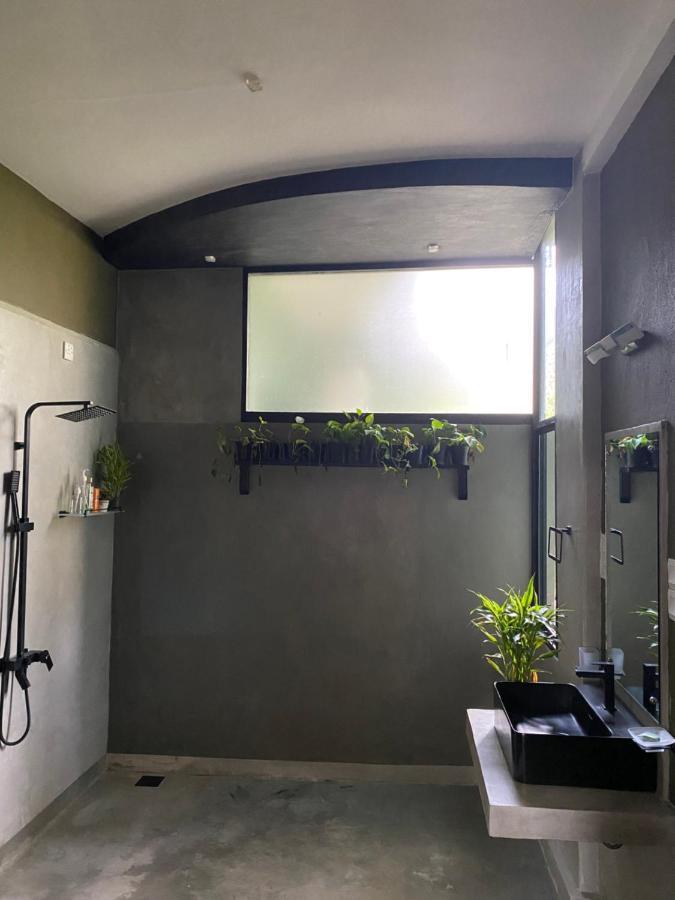 Star Gaze Homestay