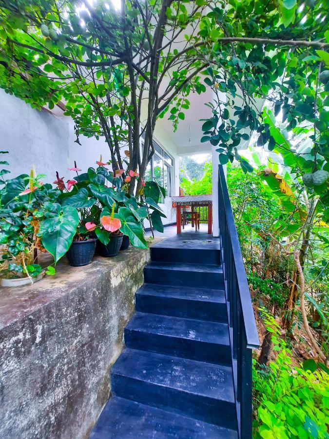 The Bliss Homestay