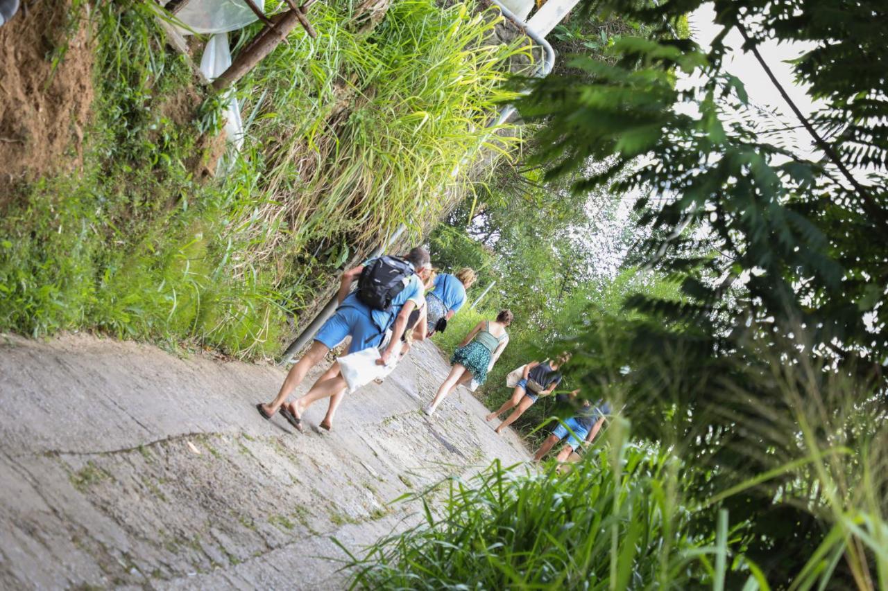 Hostel Idea Ella