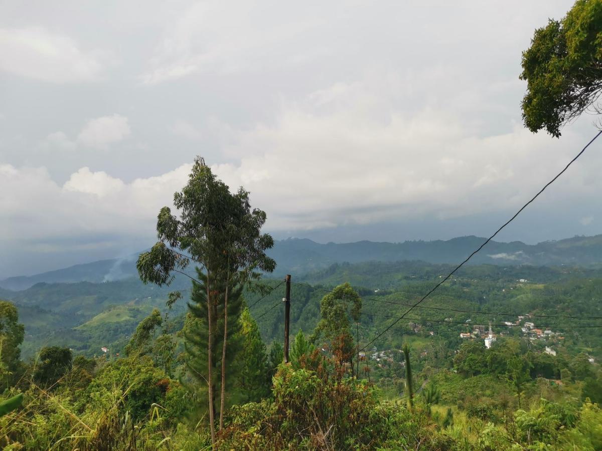 Mountain Peak Bed & Breakfast
