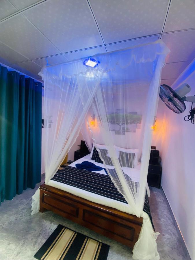Treetops Bed & Breakfast