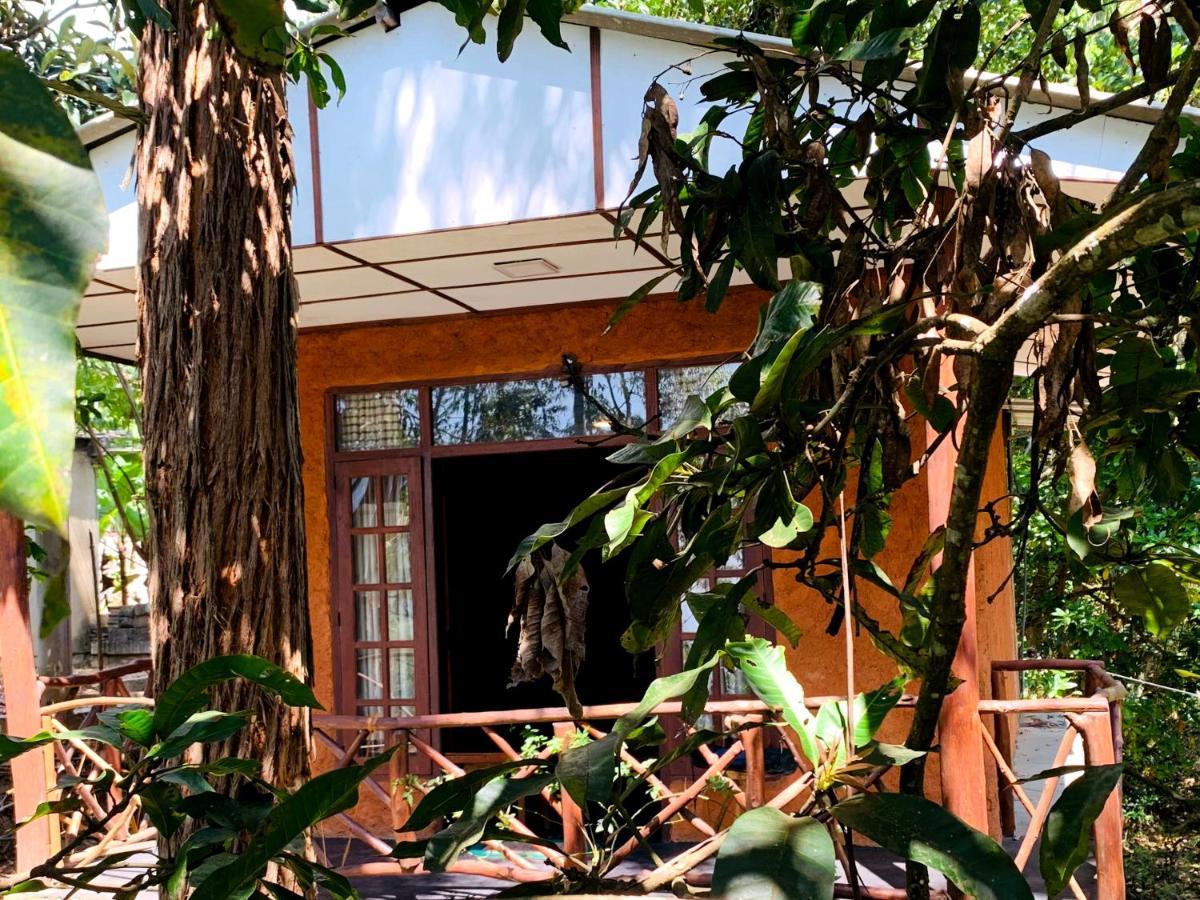 Bed & Breakfast The Nirwana *