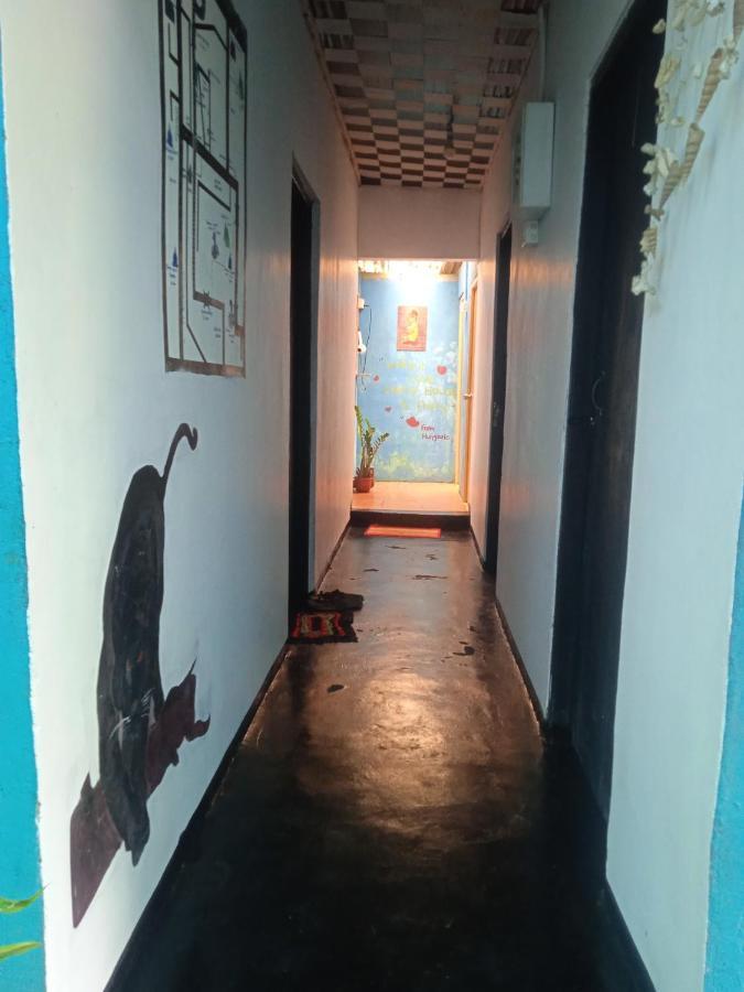 Cozy House Hostel *