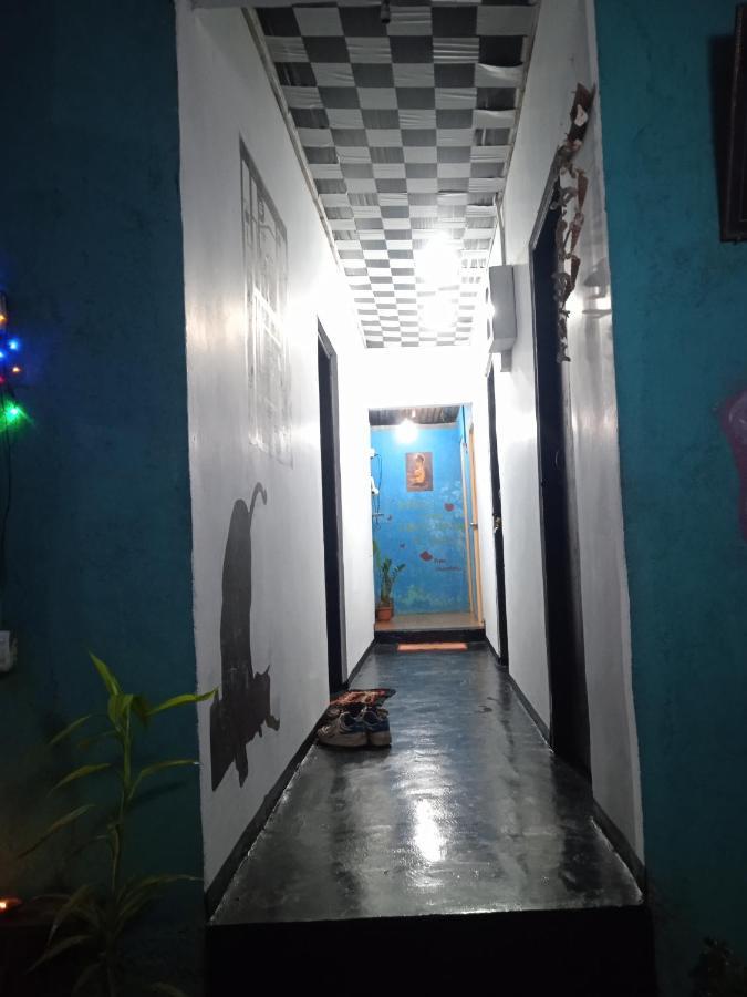 Cozy House Hostel