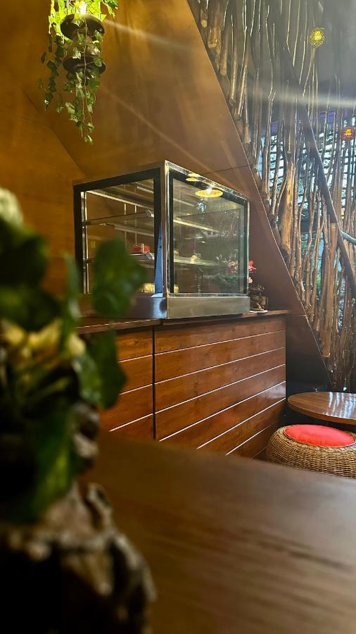 Hostel A Lounge And Cafe *
