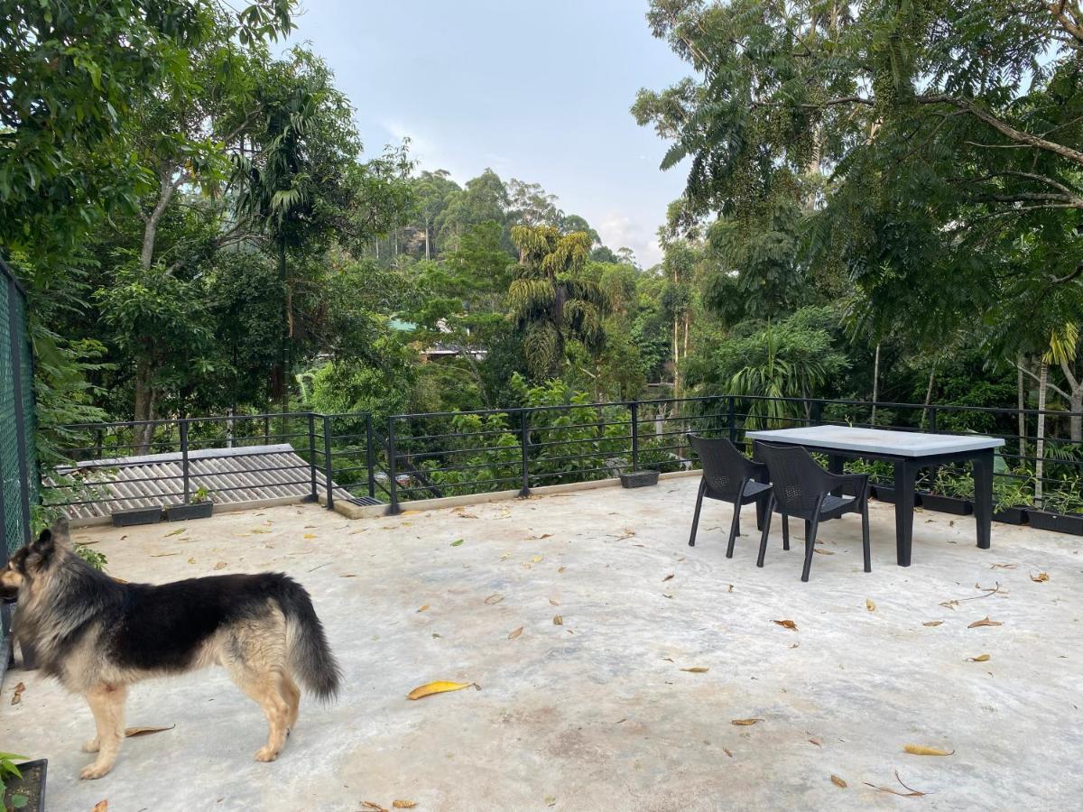 Star Gaze Homestay Ella