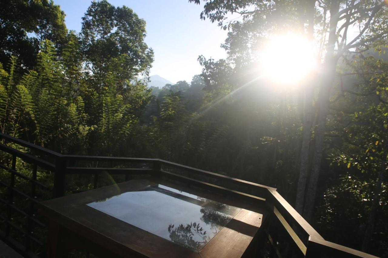 Resort Rivinu *