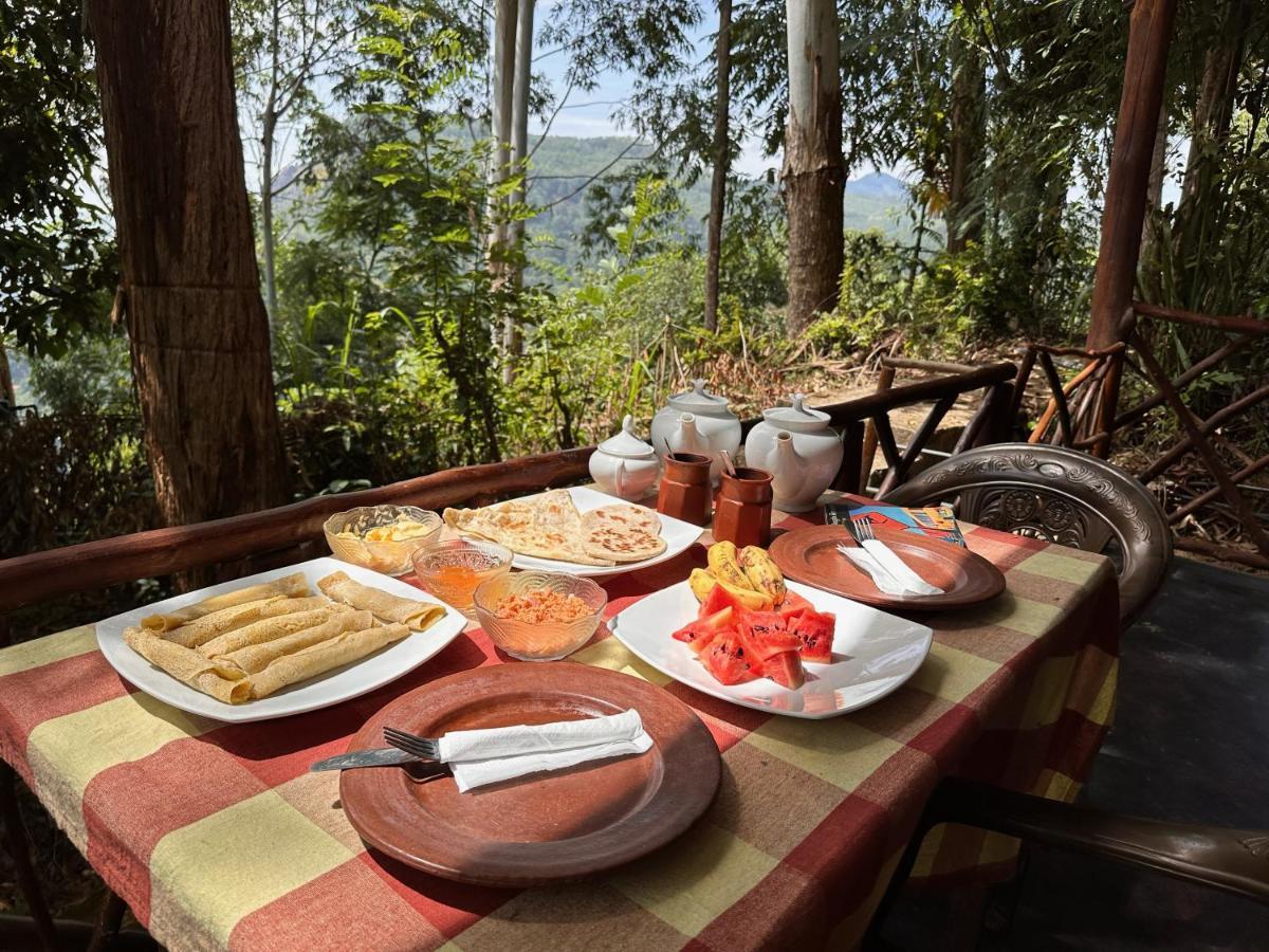Bed & Breakfast The Nirwana