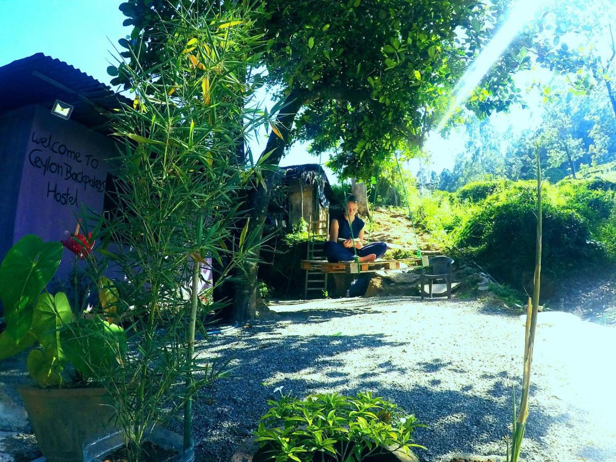 Cozy House Hostel *