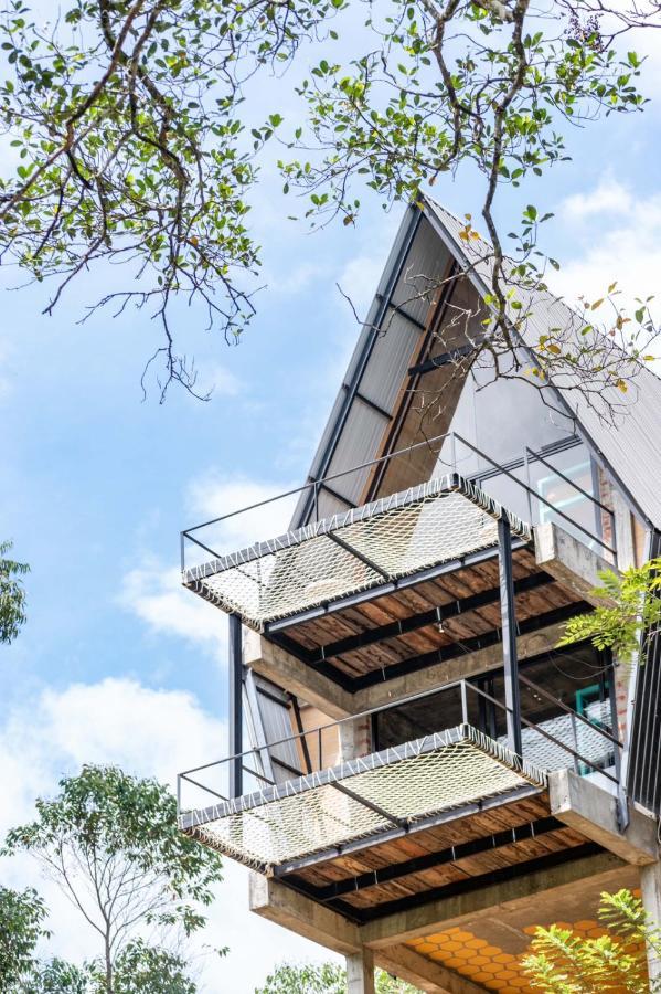 Wild Bee Hostel