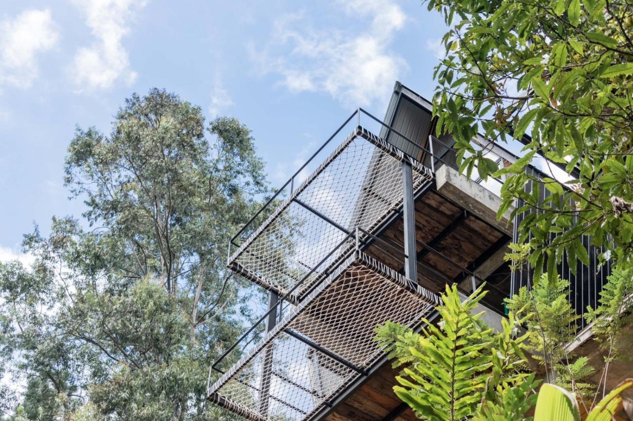Wild Bee Hostel