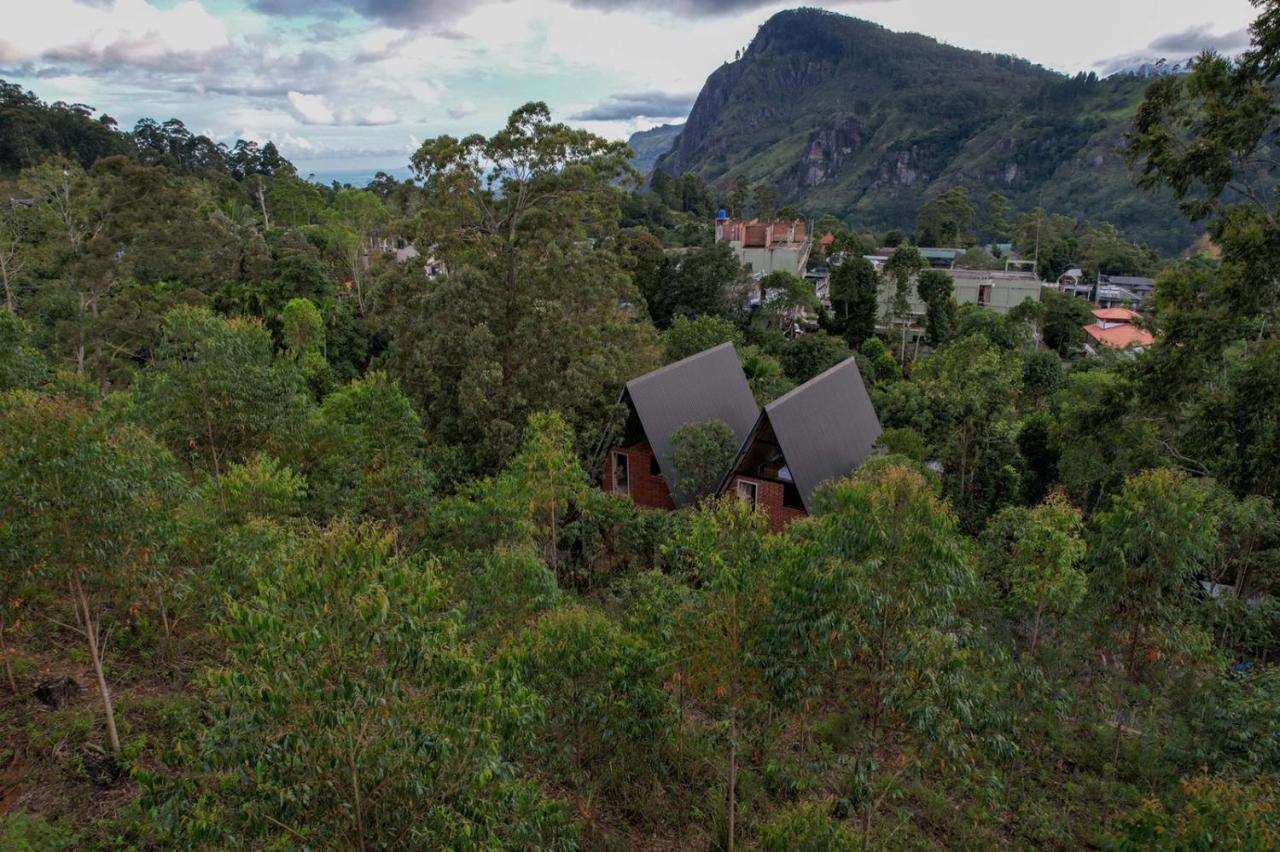 Wild Bee Hostel *