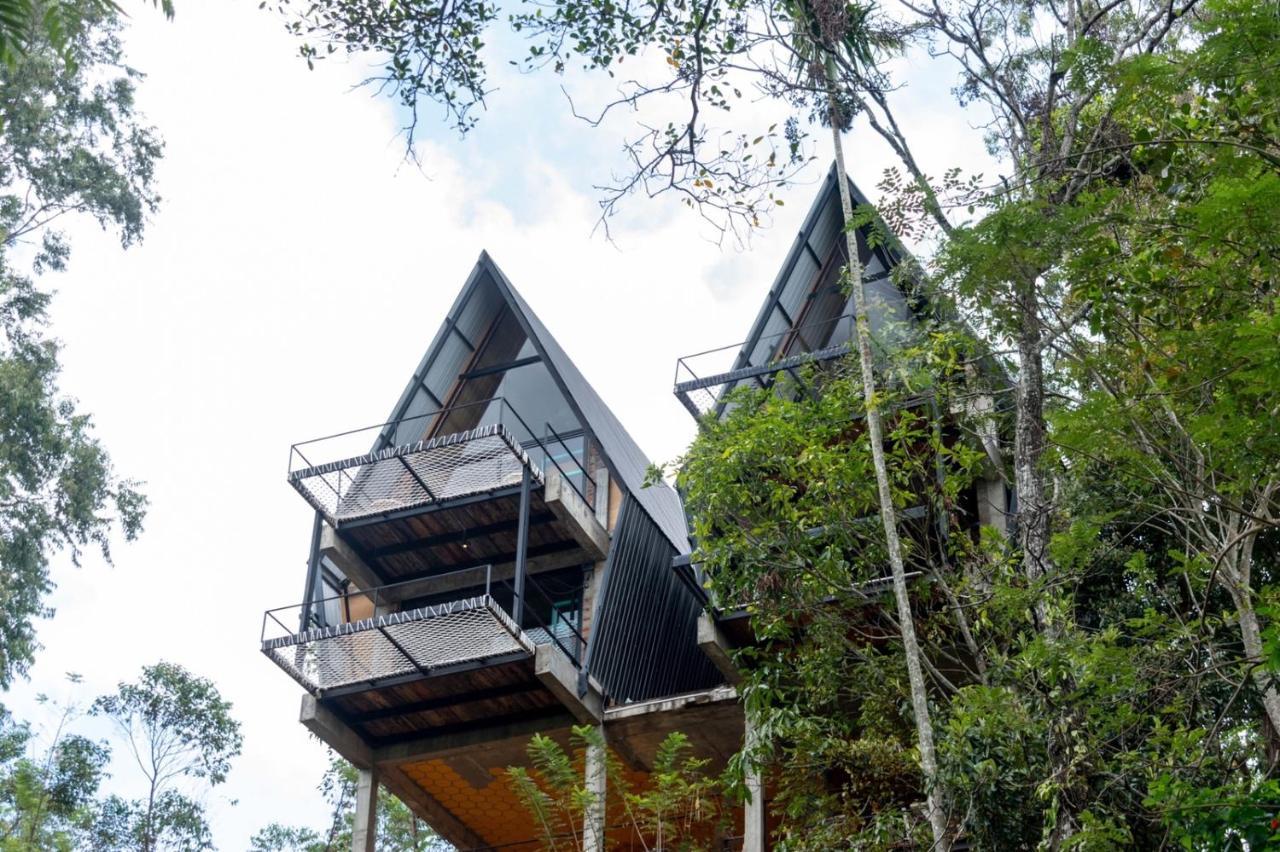 Wild Bee Hostel *