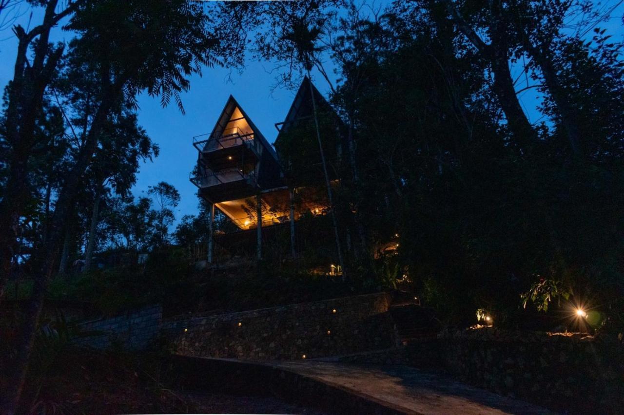 Wild Bee Hostel