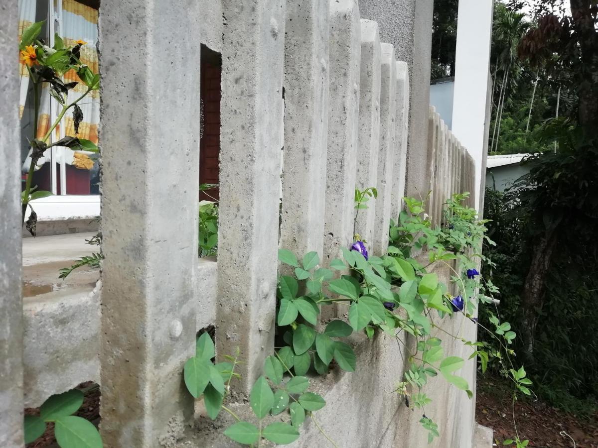 Delightful Surround Homestay *