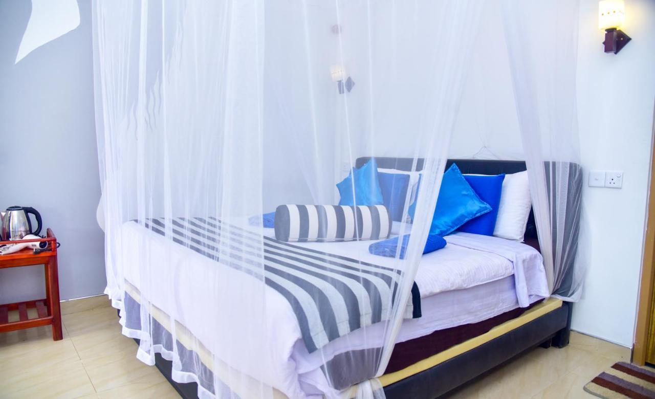 Nimal Nest *