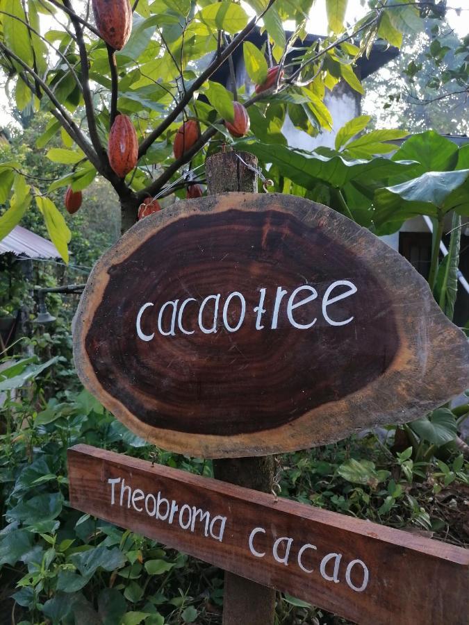 Nine Arch Spice Garden