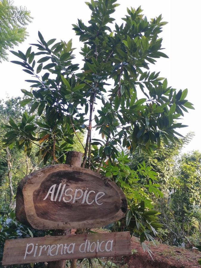 Nine Arch Spice Garden Ella