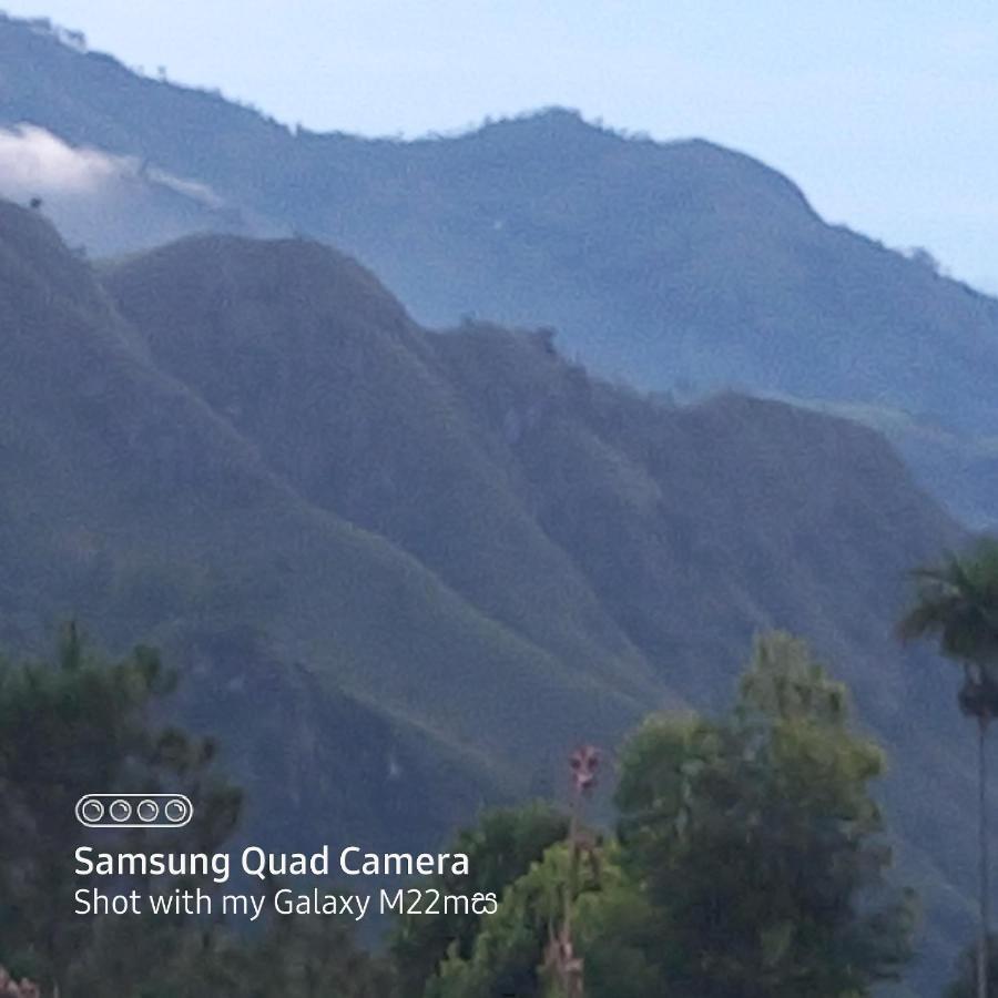 Esspeedy Hill Forest And Yoga Centre Ella