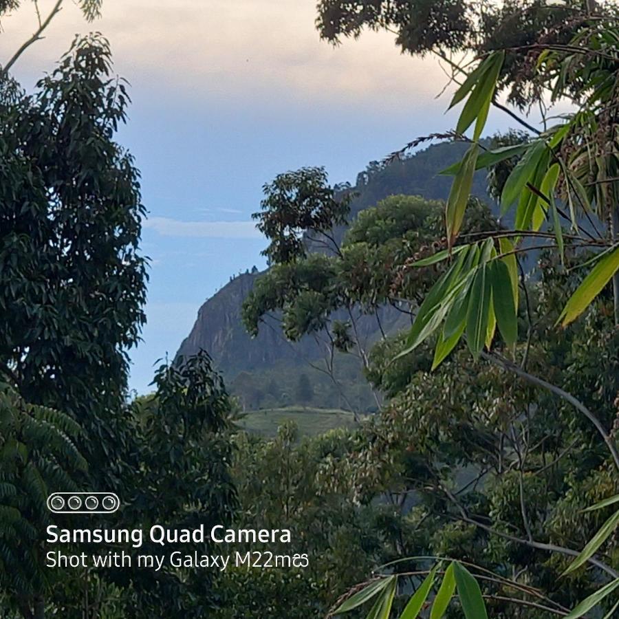 Hotel Esspeedy Hill Forest And Yoga Centre