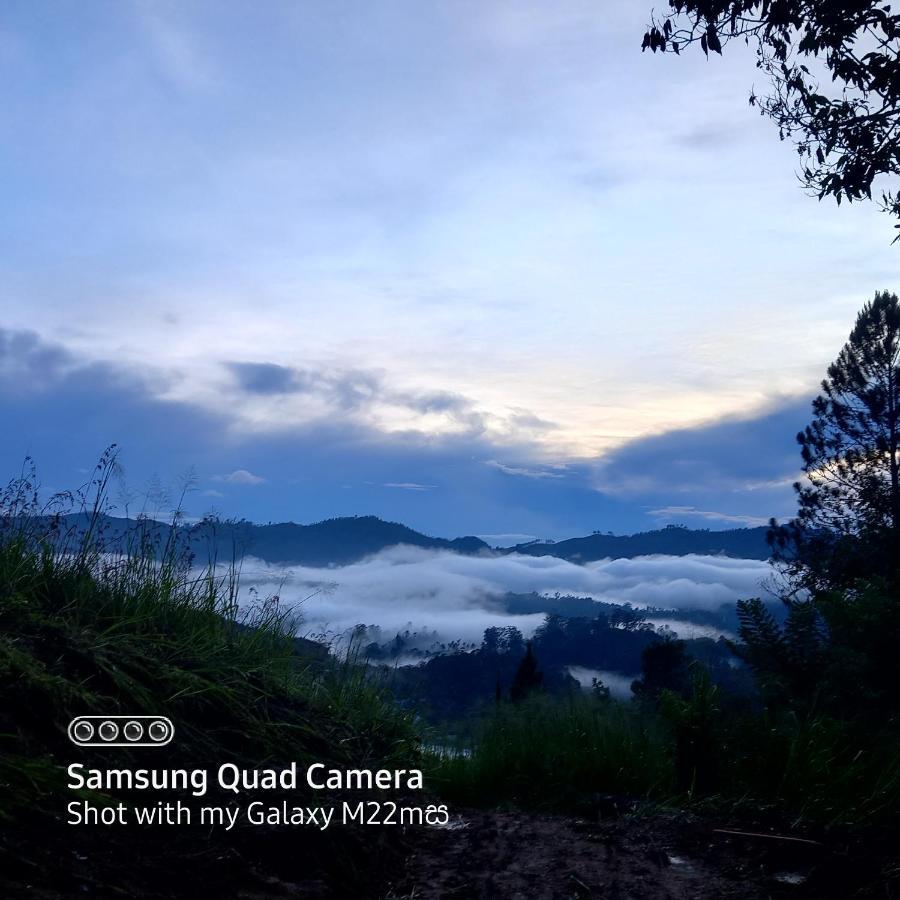 Esspeedy Hill Forest And Yoga Centre *