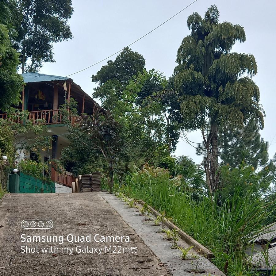 Esspeedy Hill Forest And Yoga Centre Hotel