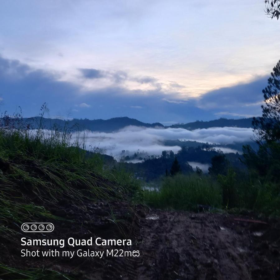 Hotel Esspeedy Hill Forest And Yoga Centre *