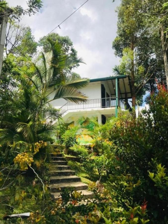 Esspeedy Hill Forest And Yoga Centre *