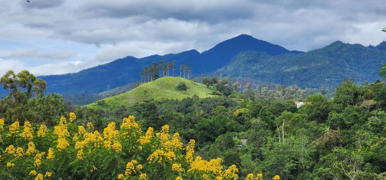 Ceylon Rich Leaves Bed & Breakfast *