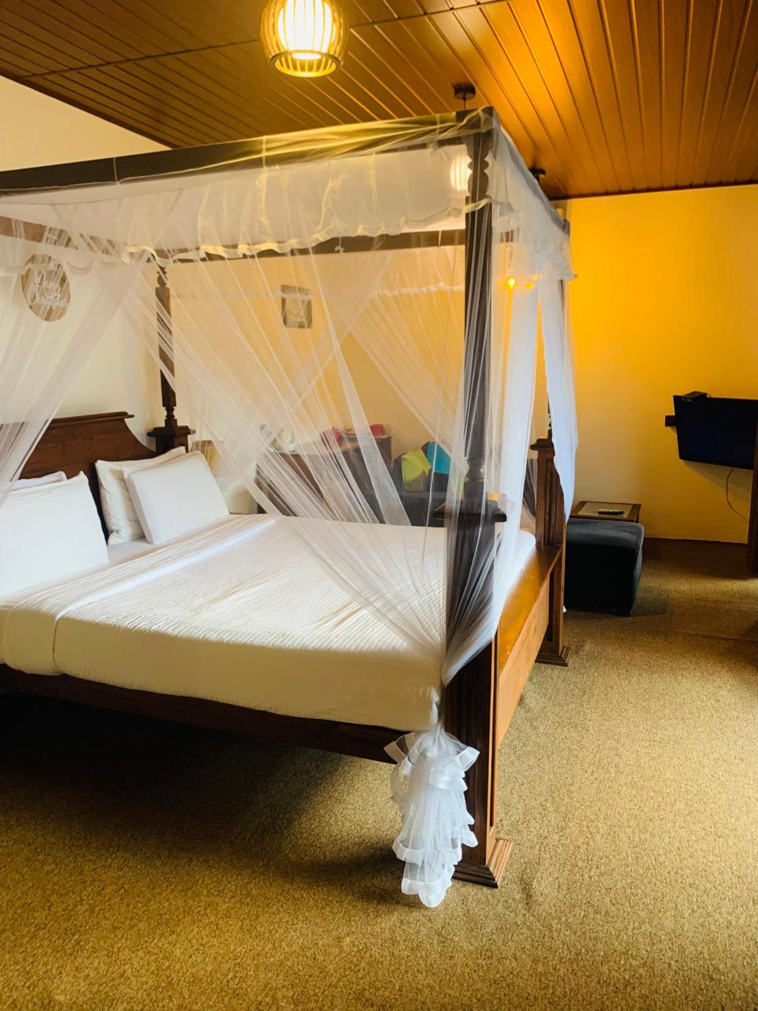 Cozy Homestay