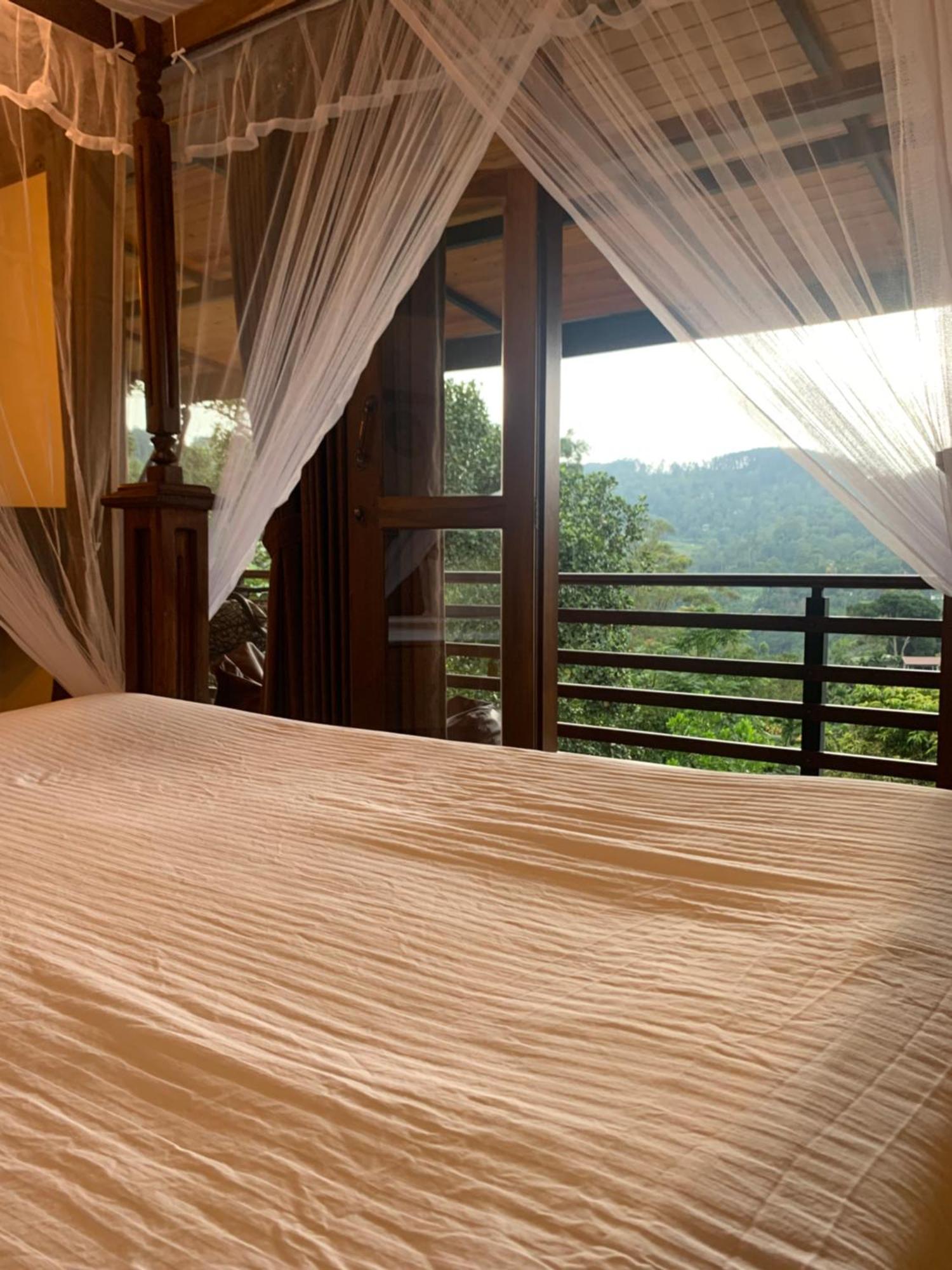 Cozy Homestay