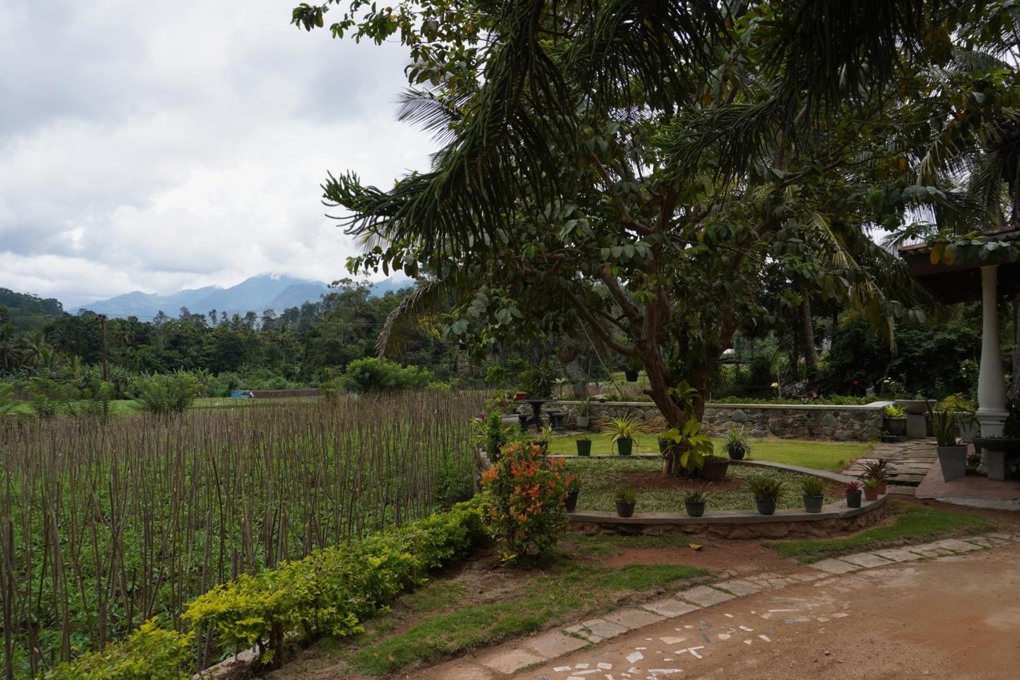 Nature Valley Homestay Ella