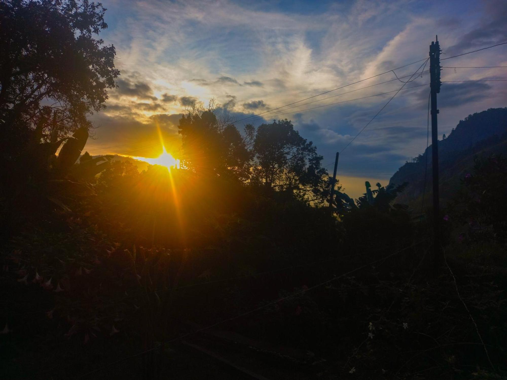Happy View