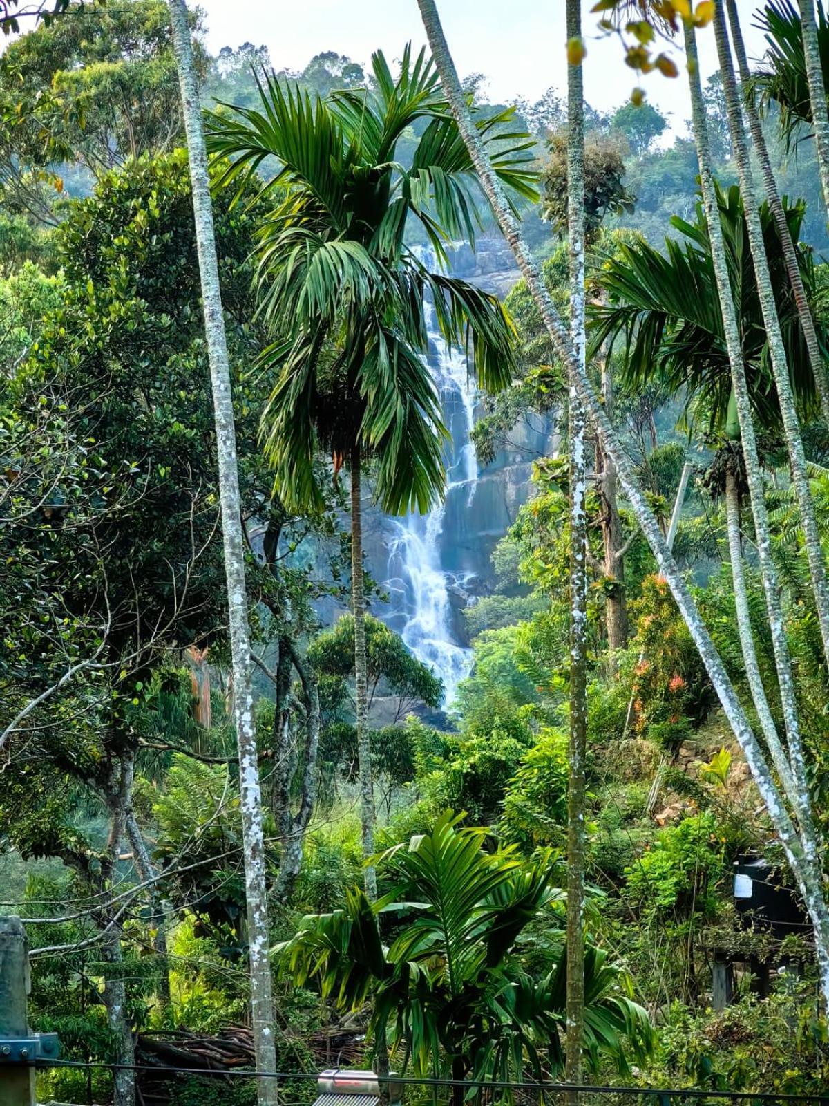 Cozy Waterfall Road Hotel Ella