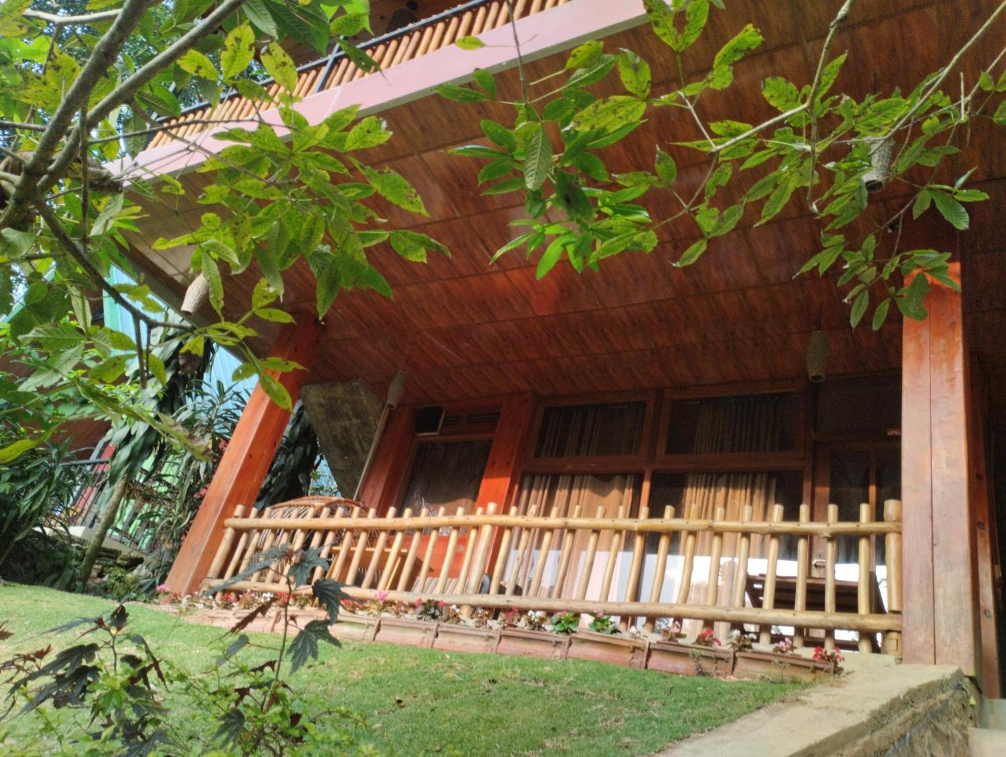 Wood