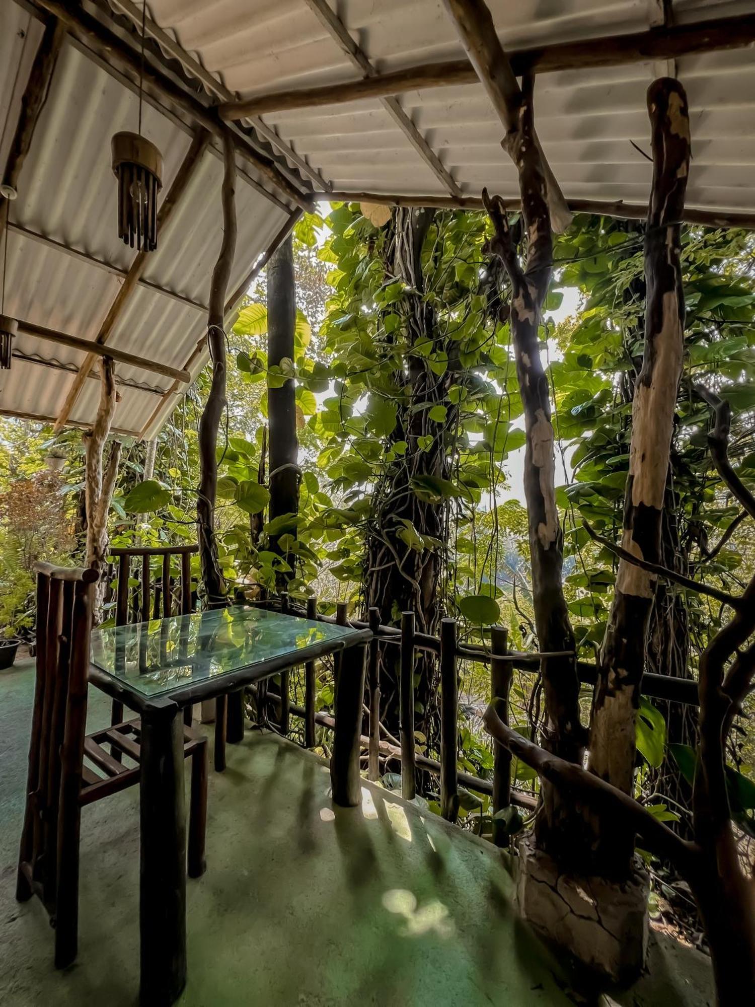 Secret Mountain Paradise Apartment