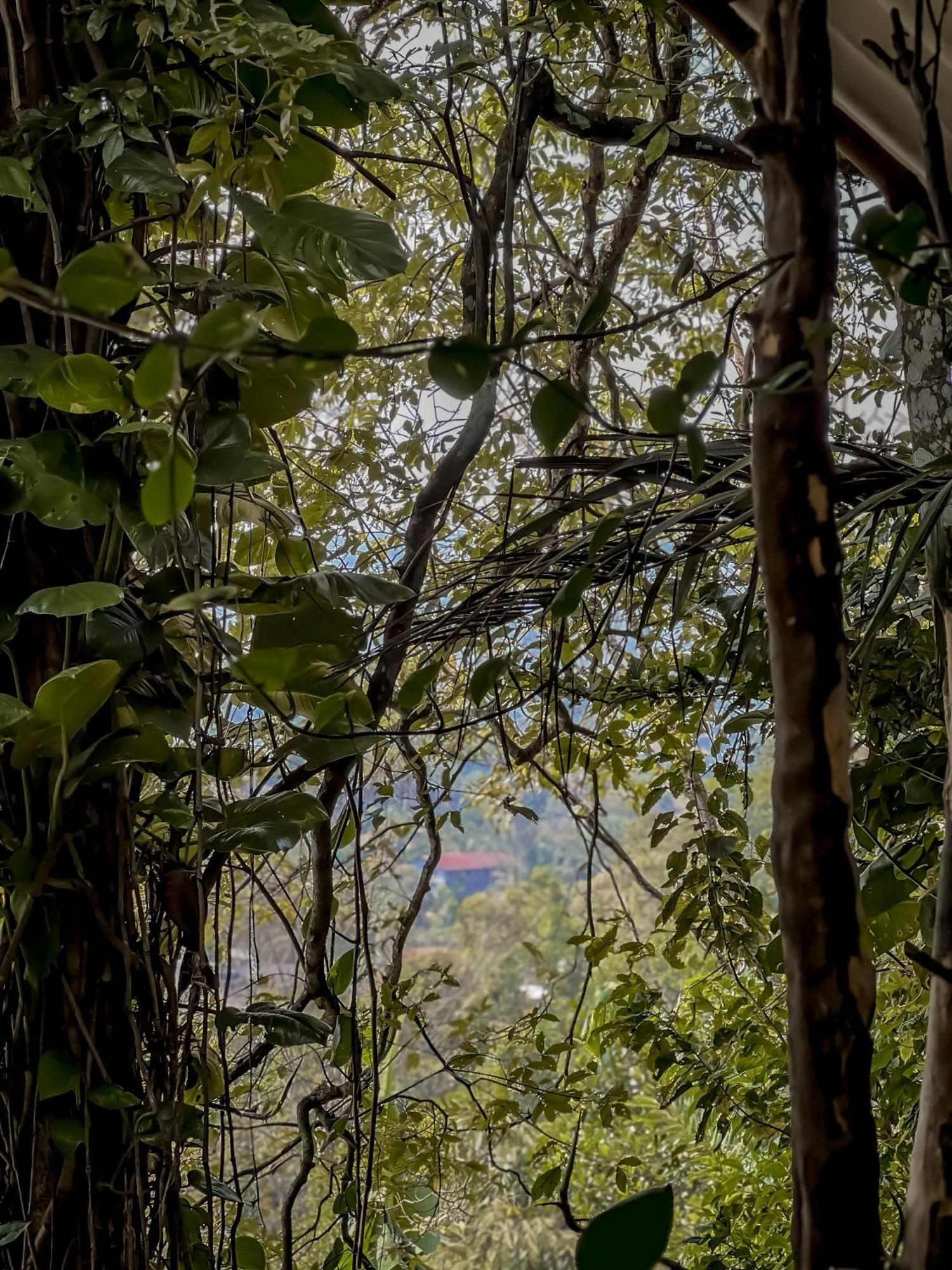 Secret Mountain Paradise Apartment
