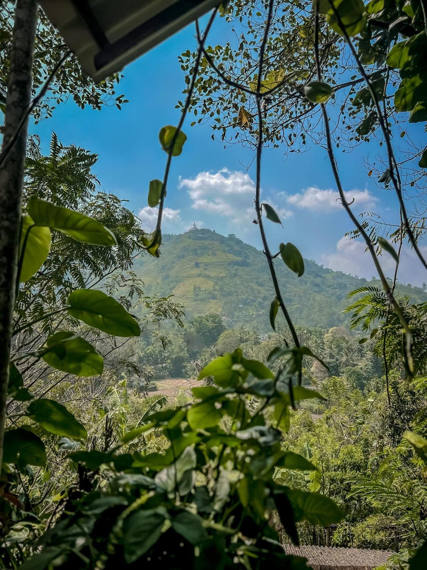 Secret Mountain Paradise Ella