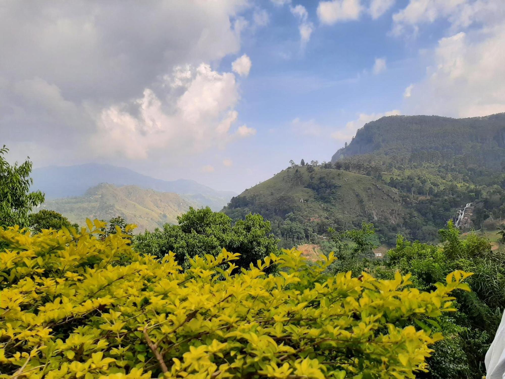 Glorious Nature Bed & Breakfast *