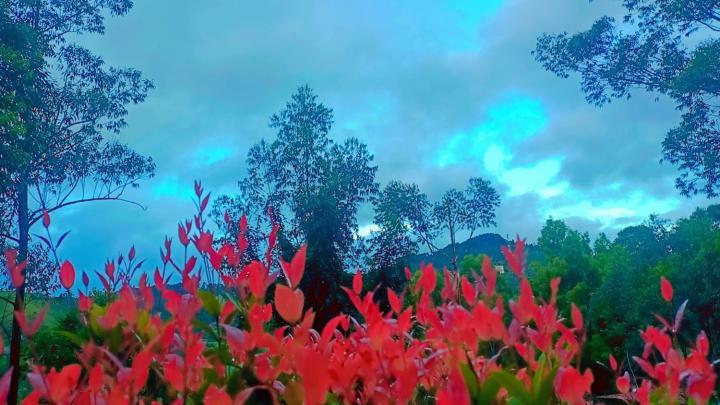 Hillsite View *