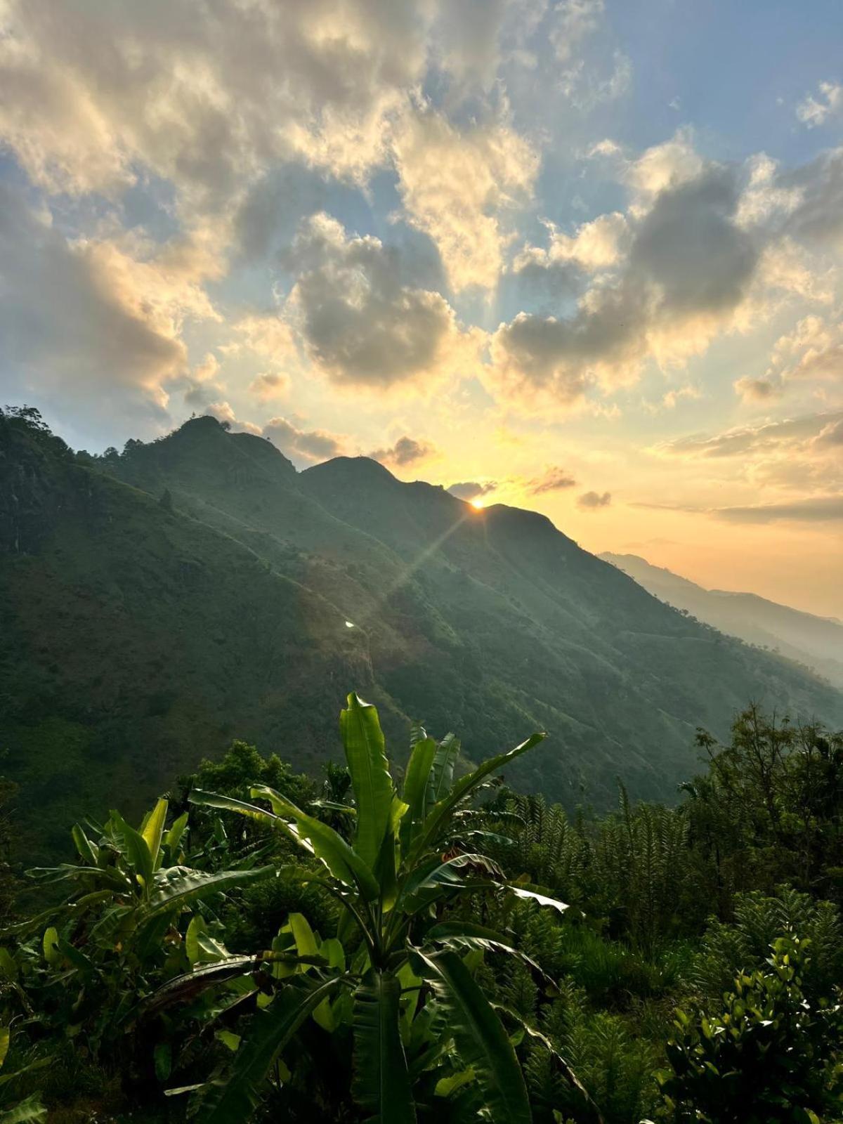 Nature On Rock Guest house *