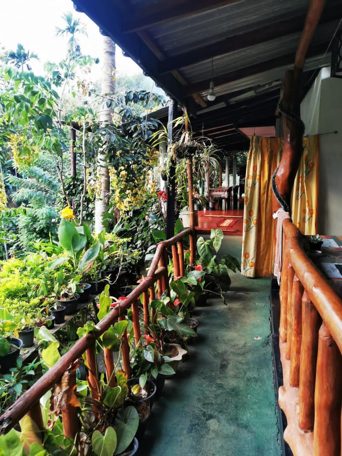 Cozy Waterfall Road * Ella