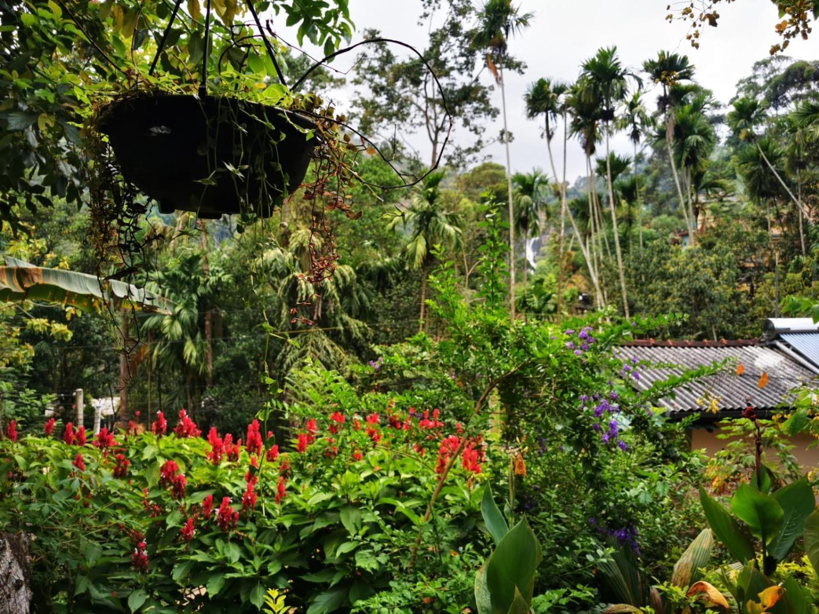 Hotel Cozy Waterfall Road