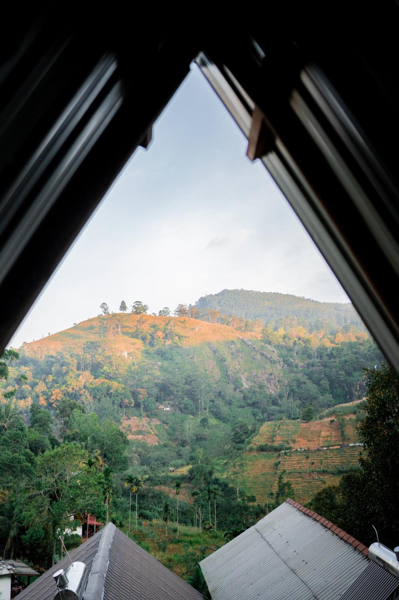 Bed & Breakfast 100 View *