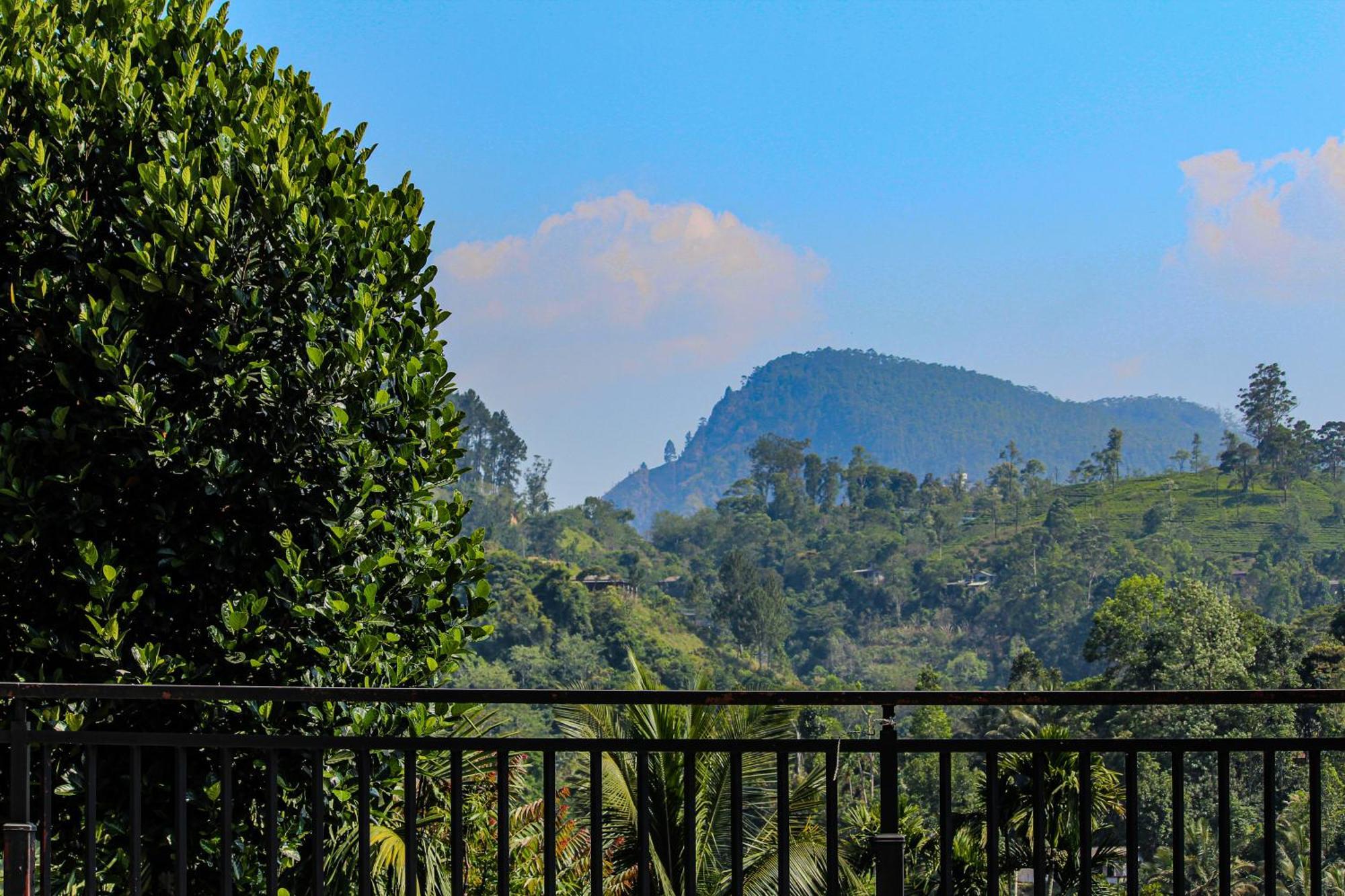 Ella, Nine Glow Guest house