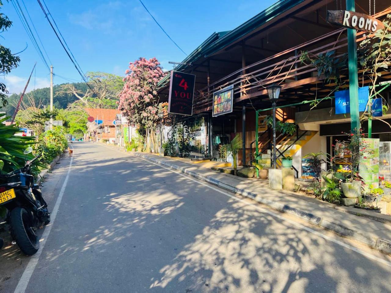 Citadel Of Dreams Homestay