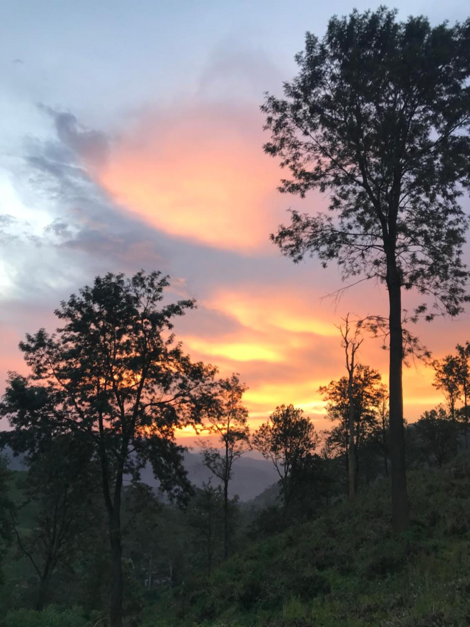 Citadel Of Dreams Homestay Ella