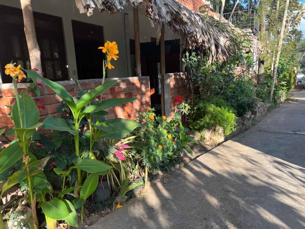 Citadel Of Dreams Homestay