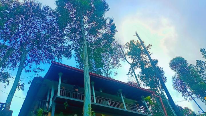 Hillsite View * Ella